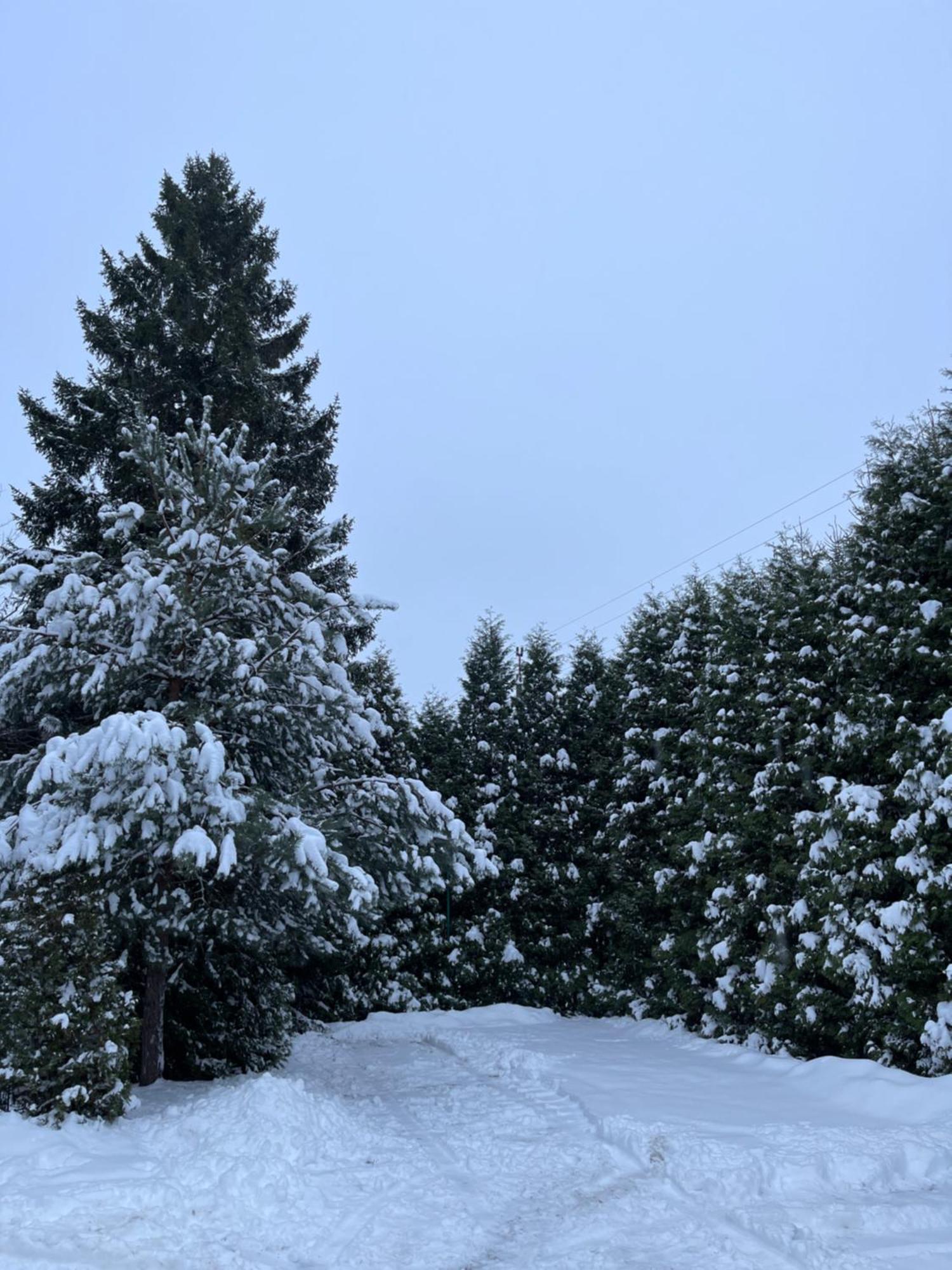 Noclegi-Splywy Bugiem Slawatycze Buitenkant foto
