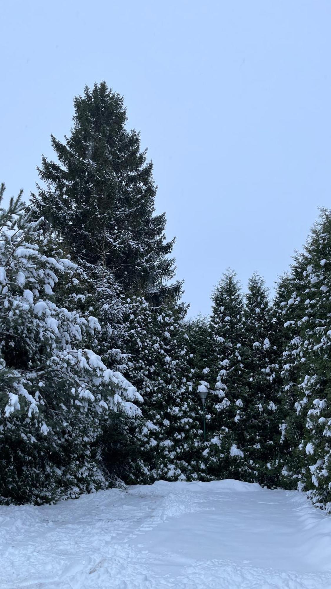 Noclegi-Splywy Bugiem Slawatycze Buitenkant foto